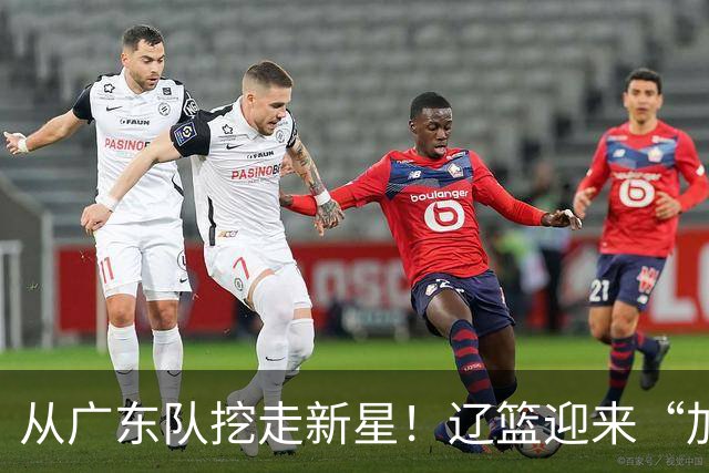 从广东队挖走新星！辽篮迎来“加强版杜润旺”，杜锋失去锋线人才