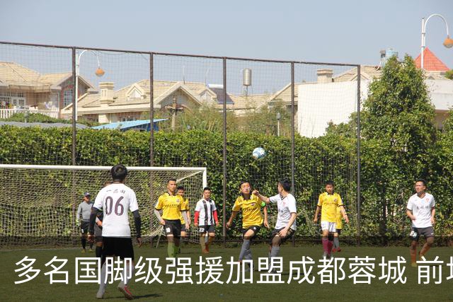 多名国脚级强援加盟成都蓉城 前场还有进人空间